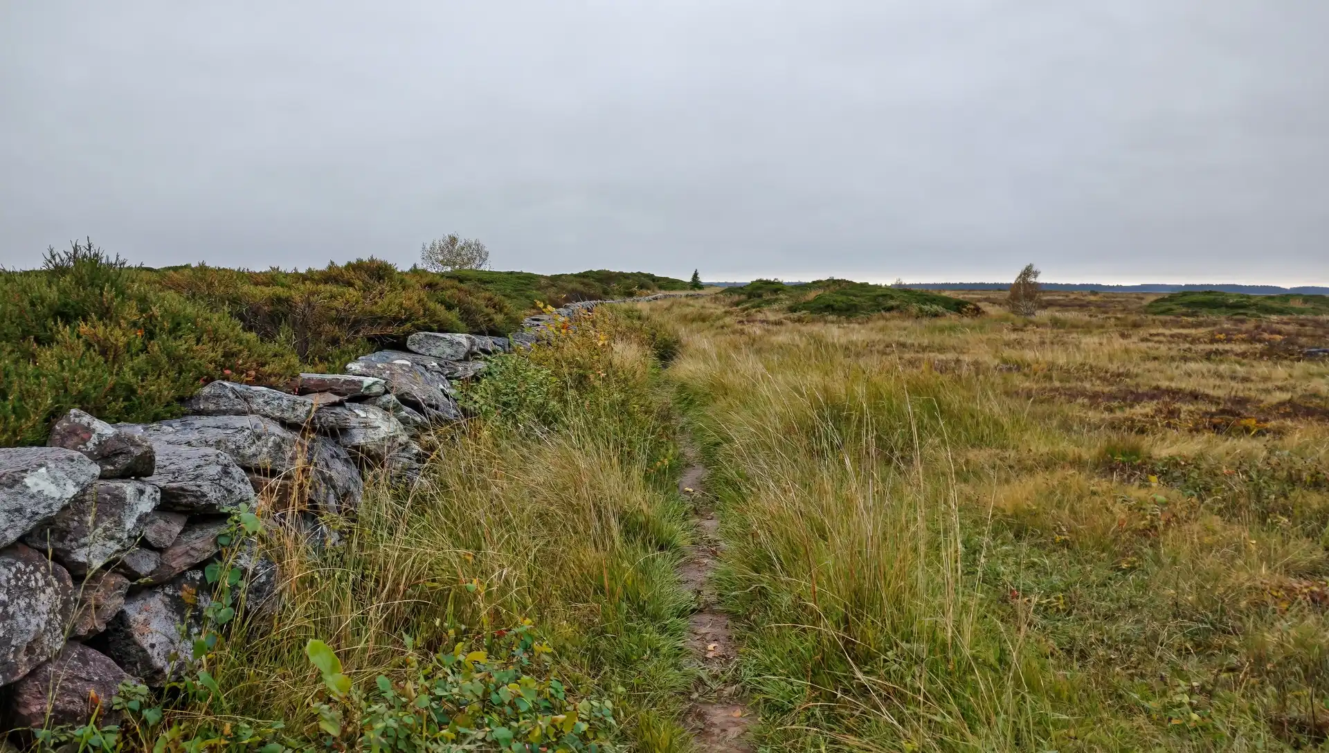 Director reviewing footage on a field monitor